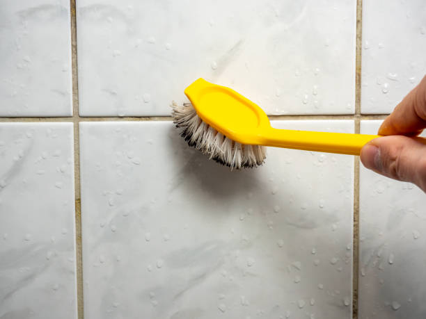 Best Water Damage Restoration  in Carson City, MI