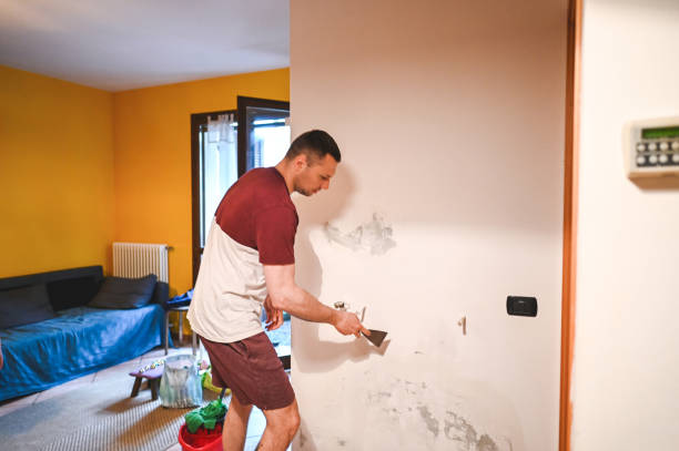 Best Mold Removal Specialists  in Carson City, MI